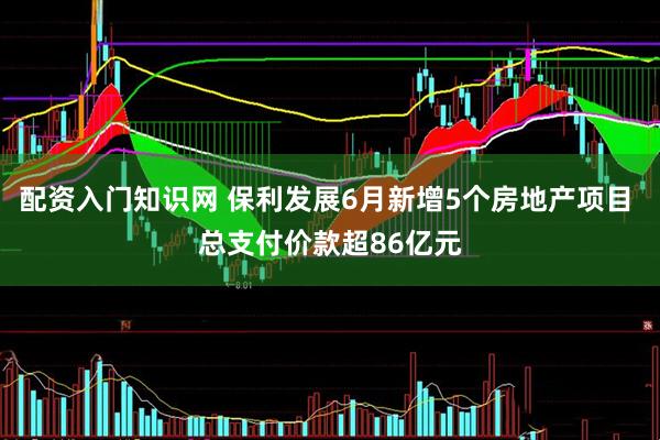 配资入门知识网 保利发展6月新增5个房地产项目 总支付价款超86亿元