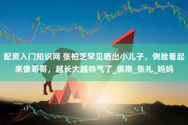 配资入门知识网 张柏芝罕见晒出小儿子，侧脸看起来像哥哥，越长大越帅气了_振南_张礼_妈妈