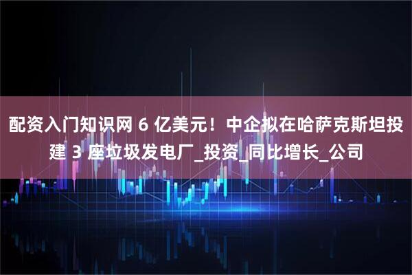 配资入门知识网 6 亿美元！中企拟在哈萨克斯坦投建 3 座垃圾发电厂_投资_同比增长_公司