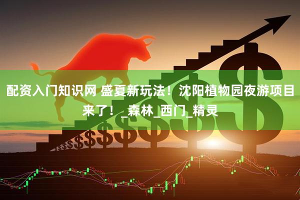 配资入门知识网 盛夏新玩法！沈阳植物园夜游项目来了！_森林_西门_精灵