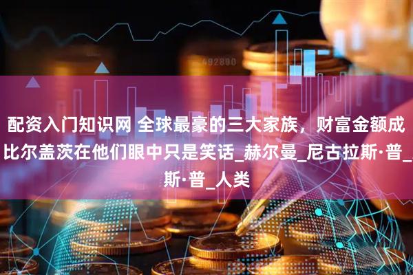 配资入门知识网 全球最豪的三大家族，财富金额成谜，比尔盖茨在他们眼中只是笑话_赫尔曼_尼古拉斯·普_人类